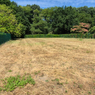 Terrain Flines Lez Raches