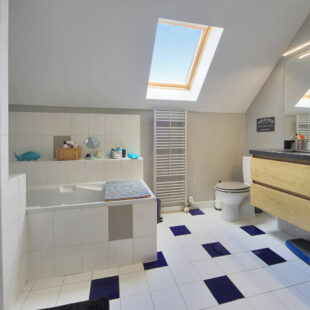 Maison Haillicourt 10 pièce(s) 300 m2