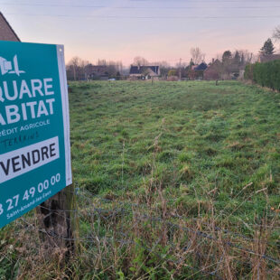 Terrain Brillon 835 m2