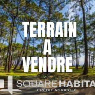 Terrain Brillon 835 m2