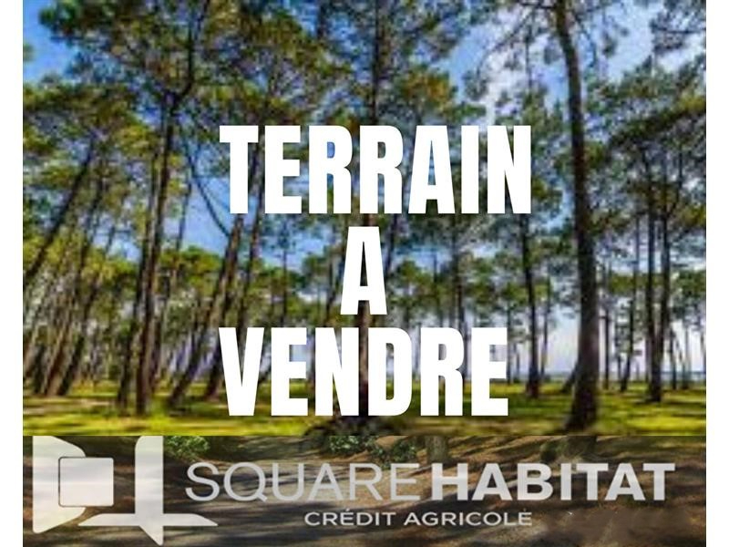 Terrain Brillon 835 m2