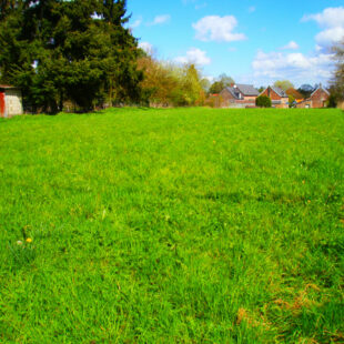 Terrain