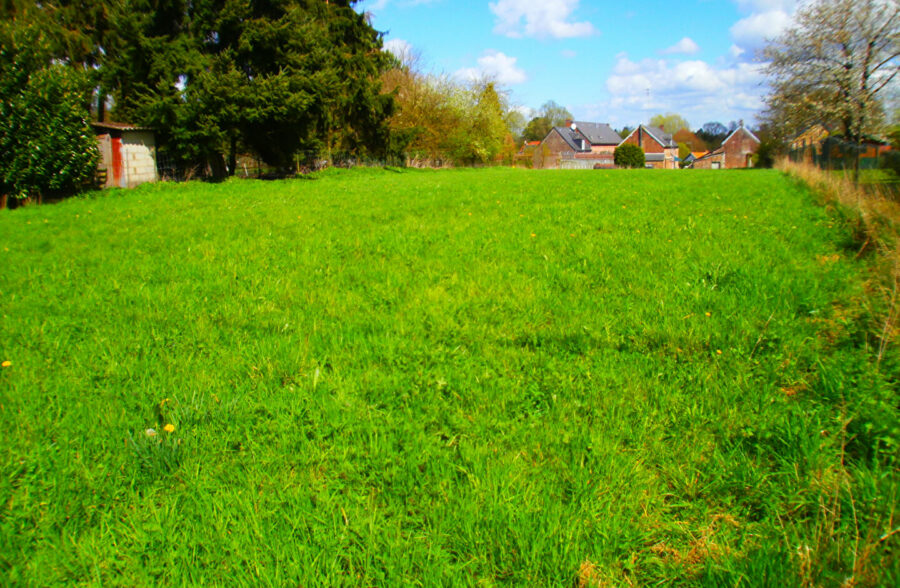 Terrain