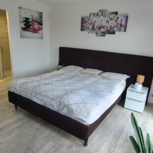Contemporaine individuelle en brique semi plain pied  de 2020