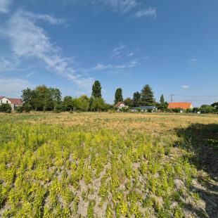 Terrain Groffliers 1138 m2