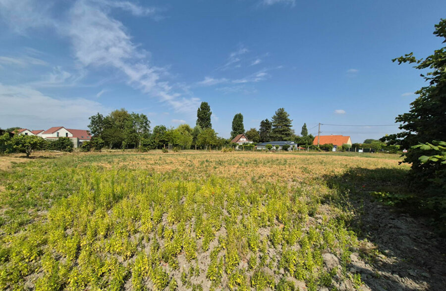 Terrain Groffliers 1138 m2