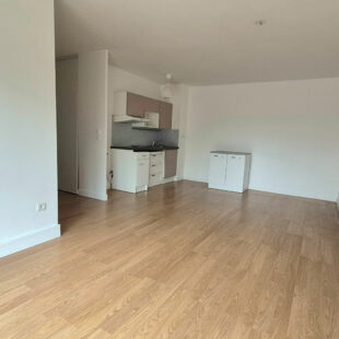 Appartement Wasquehal 3 pièce(s)