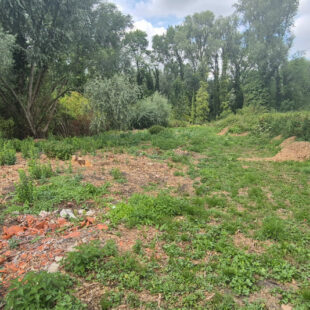 Terrain Flines Lez Raches 2000m²