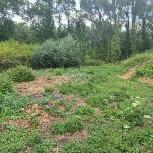 Terrain Flines Lez Raches 2000m²