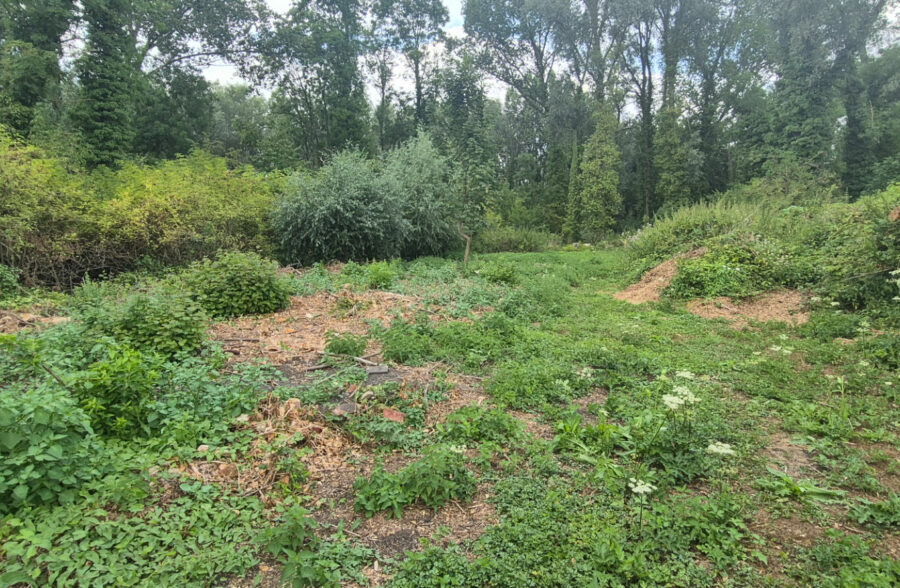 Terrain Flines Lez Raches 2000m²