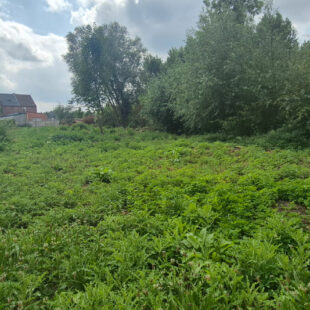 Terrain Flines Lez Raches 2000m²