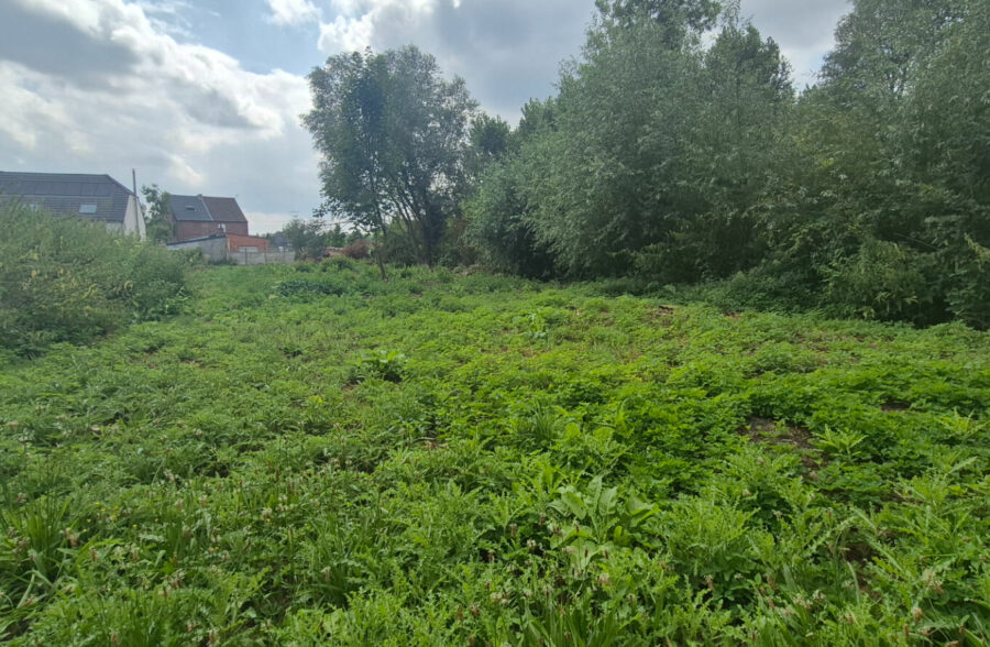 Terrain Flines Lez Raches 2000m²