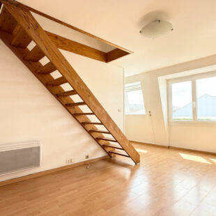 EXCLUSIVITE : DUPLEX  LILLE VAUBAN / LA CATHO PARKING PRIVATIF 1 CHAMBRE
