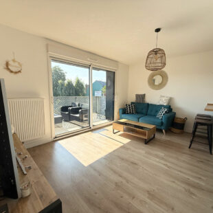 Appartement Halluin  44 m2