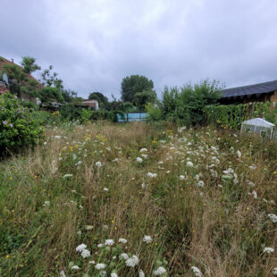 Maison semi individuelle Raismes 4 pièce(s) 100 m2