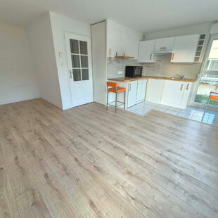 Appartement Berck 1 pièce(s)