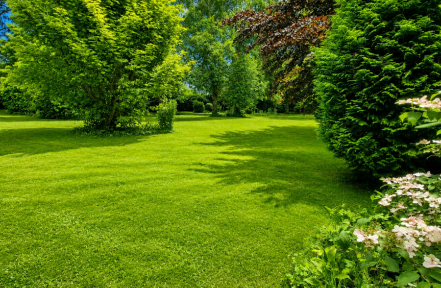 Maison Avec Terrain BETHUNE 6 pièce(s)