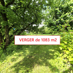 Maison Cambrai 10 pièce(s) 175 m2