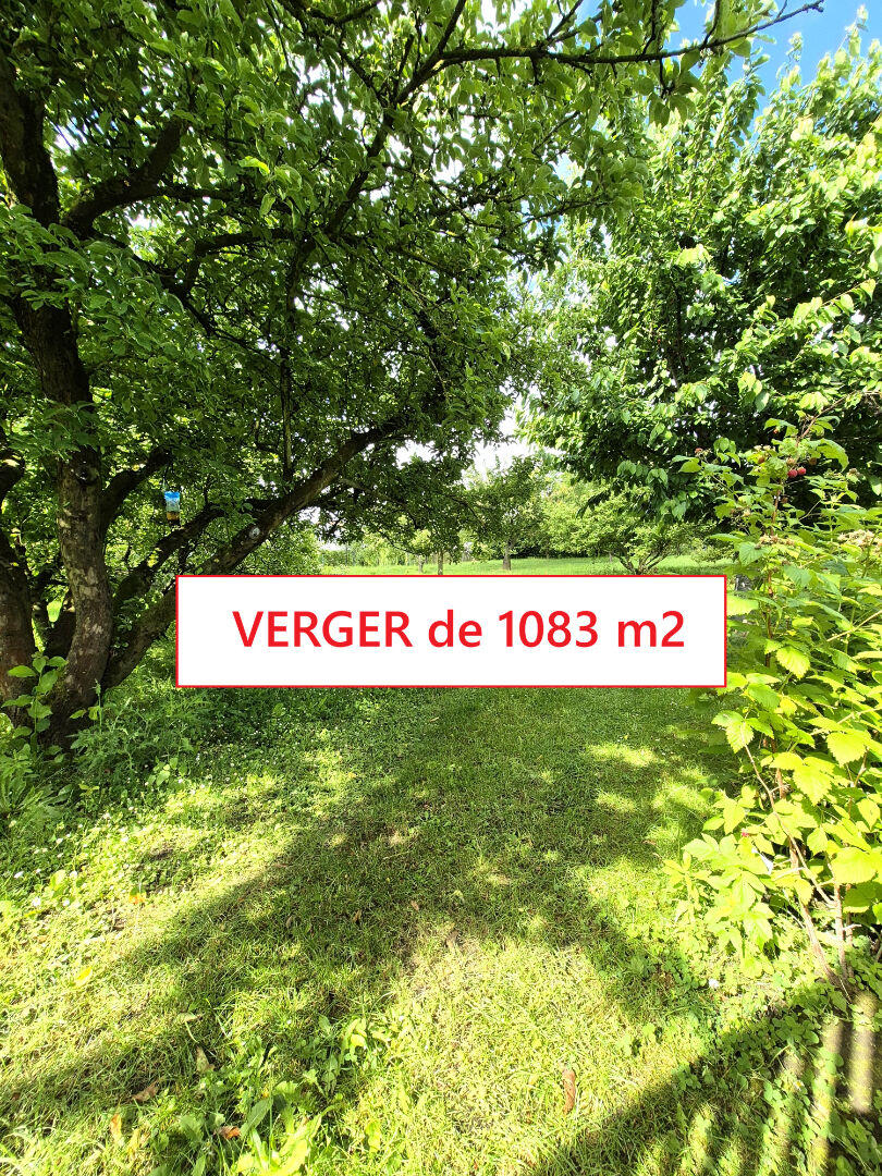 Maison Cambrai 10 pièce(s) 175 m2
