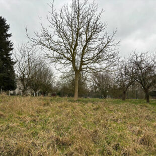 Terrain constructible