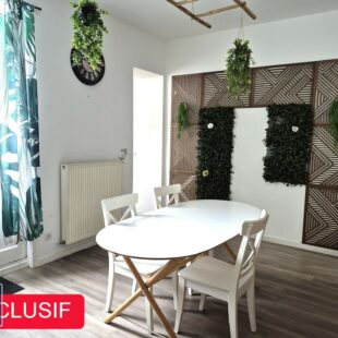 Wasquehal, belle maison avec grand jardin