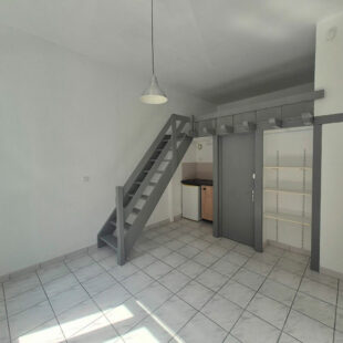 Appartement Lille 1 pièce(s)