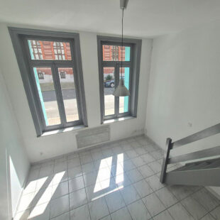 Appartement Lille 1 pièce(s)
