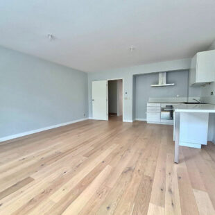 Appartement LILLE 3 pièce(s)