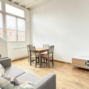 APPARTEMENT TYPE 1 DE 36.25 m² SECTEUR VAUBAN PROCHE LA CATHO