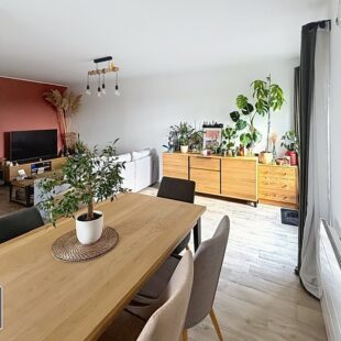 Appartement Lille 3 pièce(s)