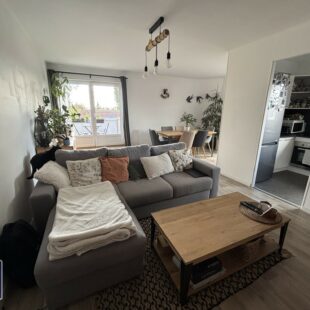Appartement Lille 3 pièce(s)