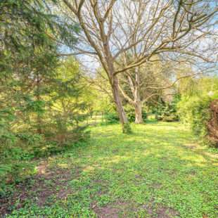 Maison en semi plein pied sur 1363 m²
