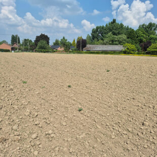 Terrain Auchy Les Orchies 1700 m2