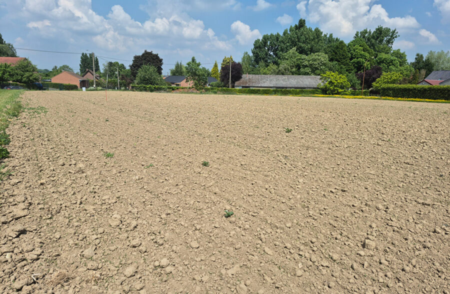 Terrain Auchy Les Orchies 1120 m2