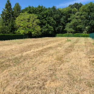 Terrain Flines Lez Raches