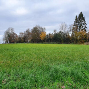 Terrain à Humières