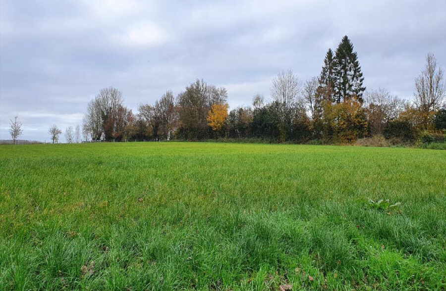 Terrain à Humières