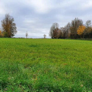Terrain à Humières