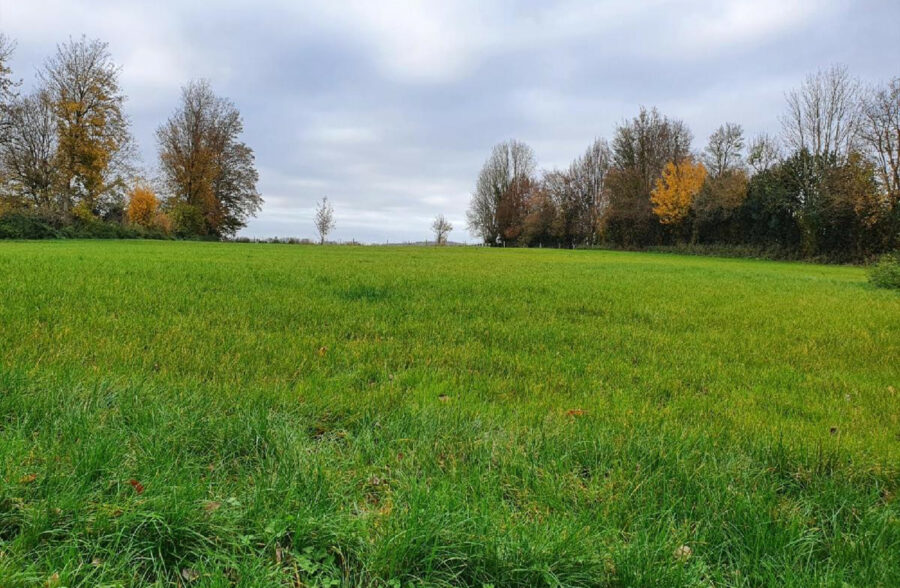 Terrain à Humières