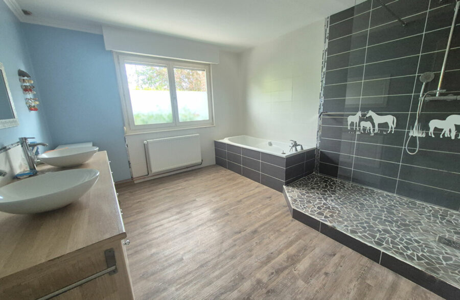 Maison Avec Terrain Rieulay 8 pièce(s)