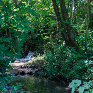 Maison Avec Terrain Vendegies-au-Bois 6 pièce(s)