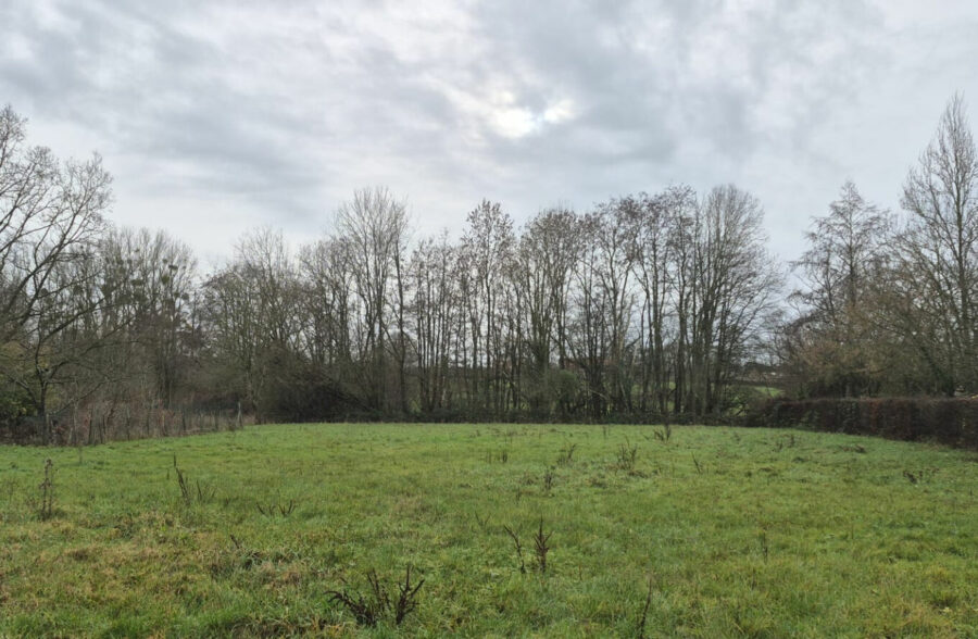Terrain Bousies 3000 m2