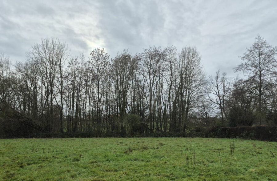 terrain bousies 3000 m2 · 75 000 €