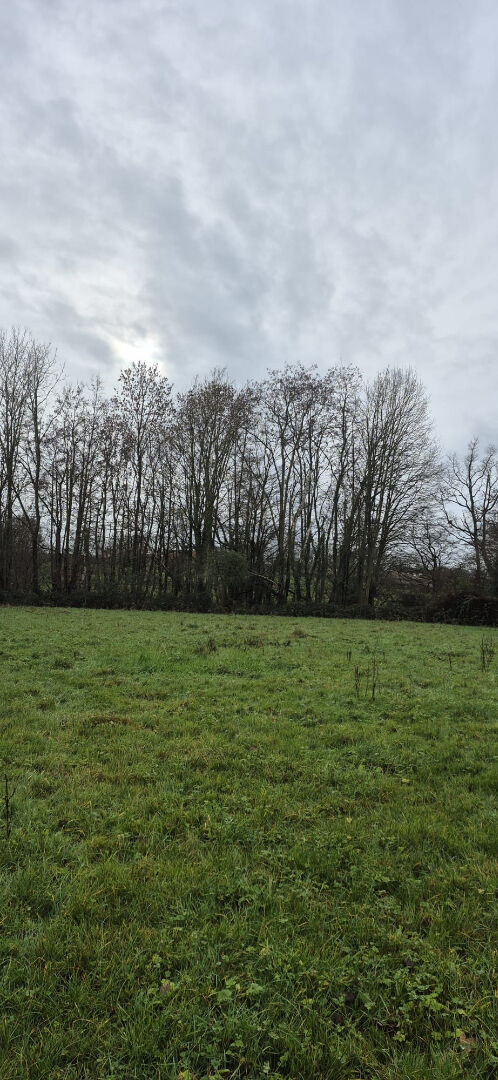 Terrain Bousies 3000 m2