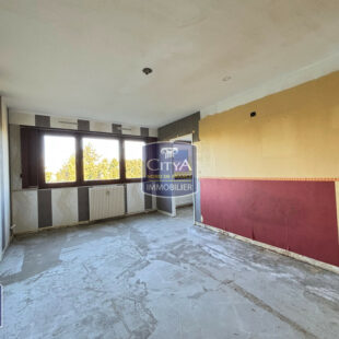 Appartement Faches-Thumesnil 1 pièce(s)