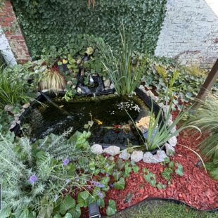 Maison Avec Terrain Aniche 5 pièce(s)
