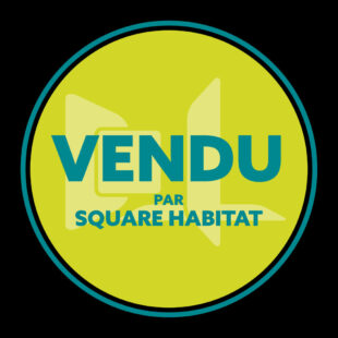 Maison de ville avec garage