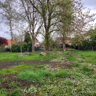 ERRE – GRANDE FLAMANDE A FORT POTENTIEL EN MANDAT SQUARE BOX