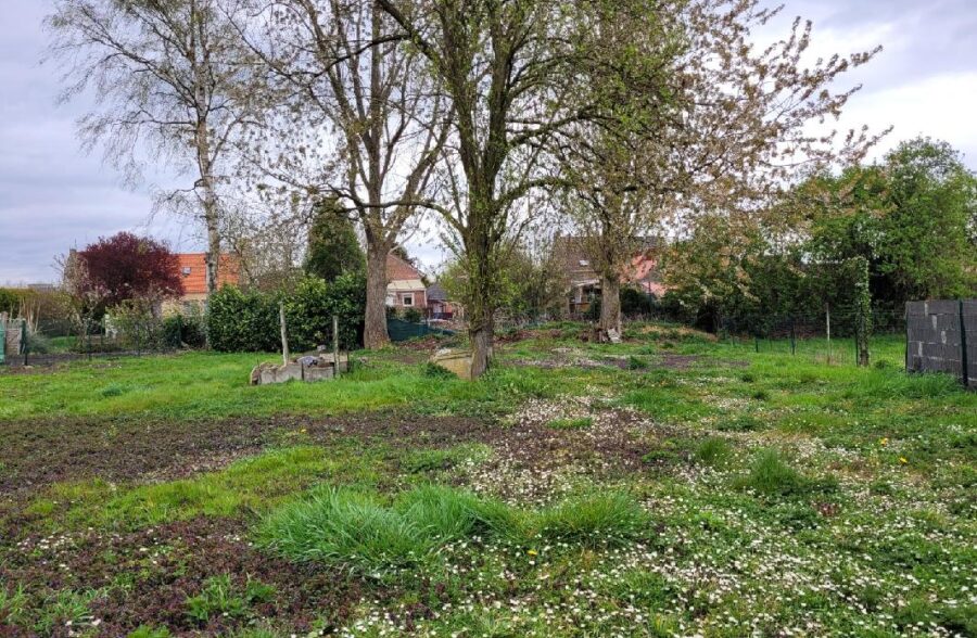 ERRE – GRANDE FLAMANDE A FORT POTENTIEL EN MANDAT SQUARE BOX