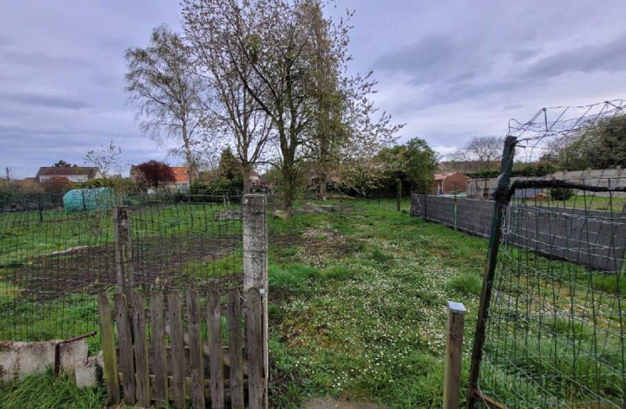 ERRE – GRANDE FLAMANDE A FORT POTENTIEL EN MANDAT SQUARE BOX